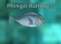 Phinigel Autropos