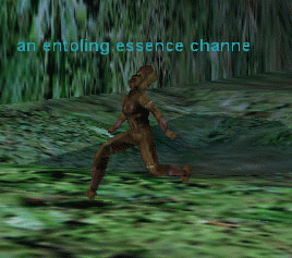 An Entoling Essense Channeller