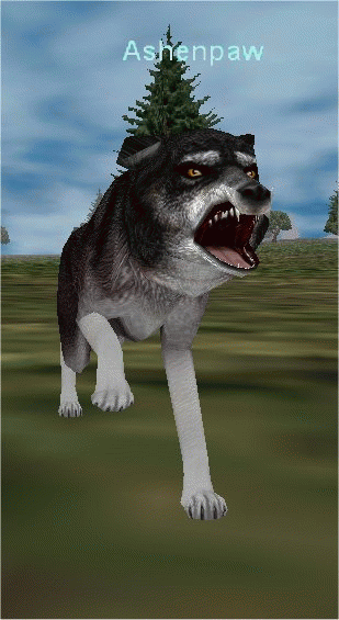 Ashenpaw