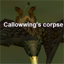 Callowwing