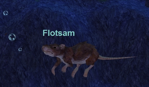 Flotsam