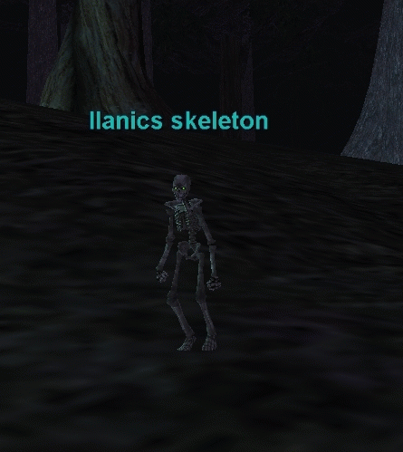 Ilanics skeleton