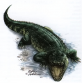 Thumbnail for version as of 00:37, 19 May 2015