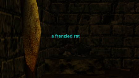 a frenzied rat