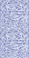 Thumbnail for version as of 07:17, 29 March 2018