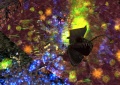 Thumbnail for version as of 20:45, 14 May 2025