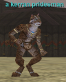 Thumbnail for version as of 22:11, 19 February 2021