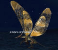 Thumbnail for version as of 23:24, 15 March 2012