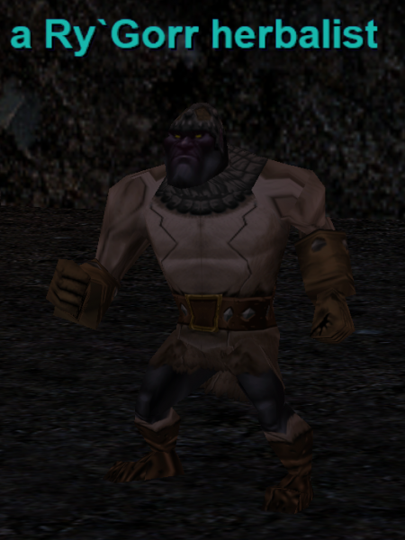 File:Npc a ry`gorr herbalist.png