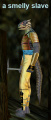 Thumbnail for version as of 05:22, 18 February 2021