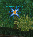 Thumbnail for version as of 06:33, 17 August 2022