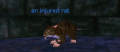 Thumbnail for version as of 04:07, 1 June 2011