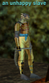 Thumbnail for version as of 05:16, 18 February 2021