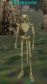 Thumbnail for version as of 22:03, 14 October 2021