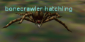 Thumbnail for version as of 05:16, 5 November 2020