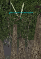 Thumbnail for version as of 21:01, 28 July 2023