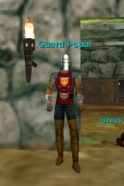 File:Npc guard popal.png