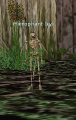 Thumbnail for version as of 22:17, 14 August 2013
