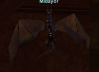 Midayor