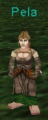 Thumbnail for version as of 05:47, 24 November 2015
