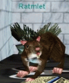 Thumbnail for version as of 06:20, 24 November 2015