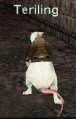 Thumbnail for version as of 19:57, 29 November 2015
