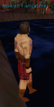 Thumbnail for version as of 03:12, 16 November 2022
