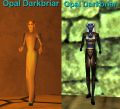 Thumbnail for version as of 22:28, 12 February 2021