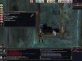 Thumbnail for version as of 20:04, 12 February 2021