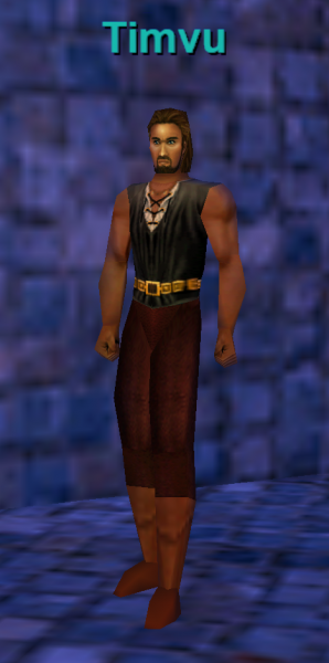 File:Timvu.png