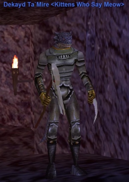 File:Wyvern Hide Tunic.jpg