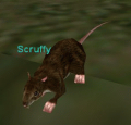 Thumbnail for version as of 05:52, 13 January 2012