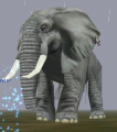 Thumbnail for version as of 22:54, 18 April 2012